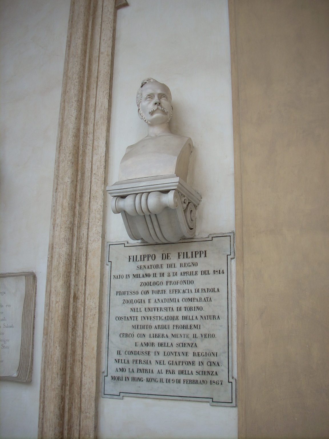 Filippo De Filippi s bust, University of Turin central seat, Turin, Italy - 01.JPG